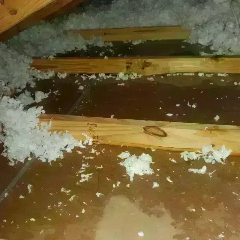 Attic Water Damage in Crownpoint, NM