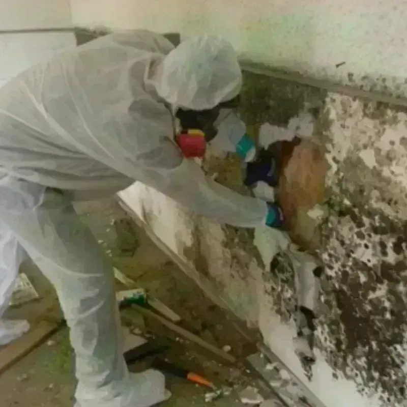 Mold Remediation and Removal in Crownpoint, NM